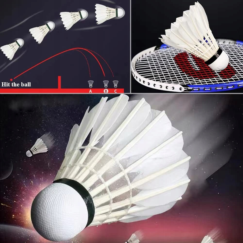Dollcini Badminton Set – Premium and Standard, 12 pcs Package
