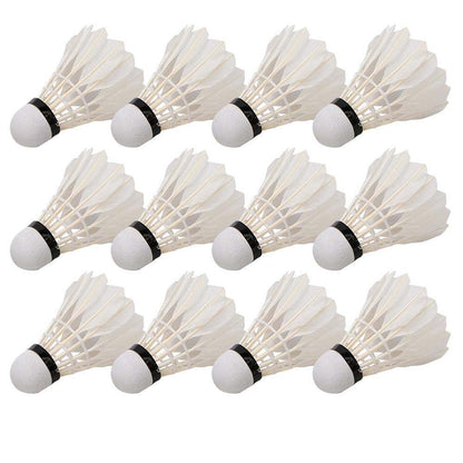Dollcini Badminton Set – Premium and Standard, 12 pcs Package