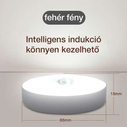 Dollcini Otthon Smart LED Lamp – Motion Sensor, Cool Light