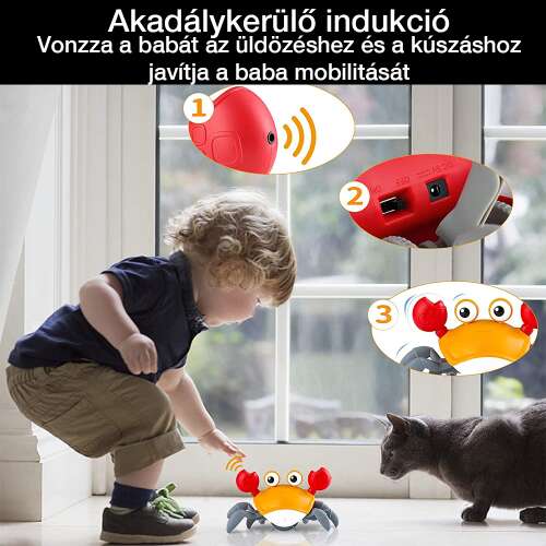 Dollcini Interactive Crab Baby Toy – Musical, LED Light Skill Developer