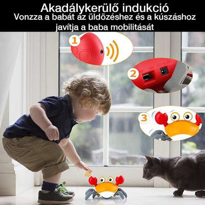 Dollcini Interactive Crab Baby Toy – Musical, LED Light Skill Developer
