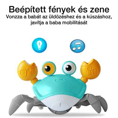 Dollcini Interactive Crab Baby Toy – Musical, LED Light Skill Developer