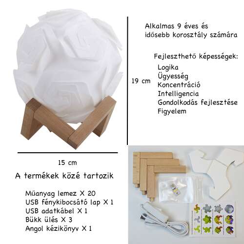 Dollcini Home DIY LED Rose Lamp – Romantic Decoration, White