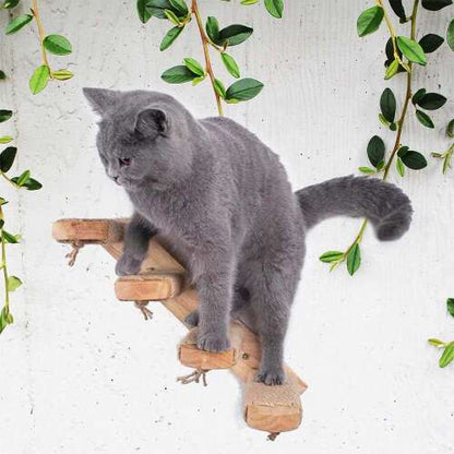 Dollcini Home Wall Cat Ladder – Safe Wooden Cat Furniture