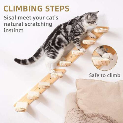 Dollcini Home Wall Cat Ladder – Safe Wood Material